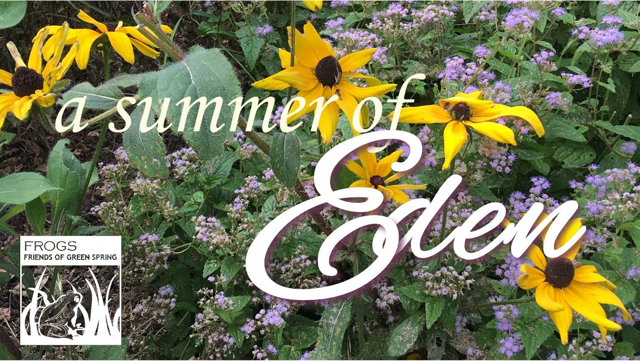 image link to youTube video - 2020 slice of eden
