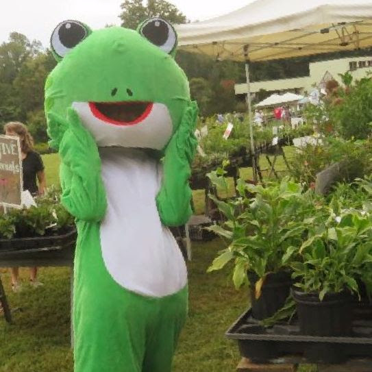 Ribbit – FROGS Mascot - Friends of Green Spring