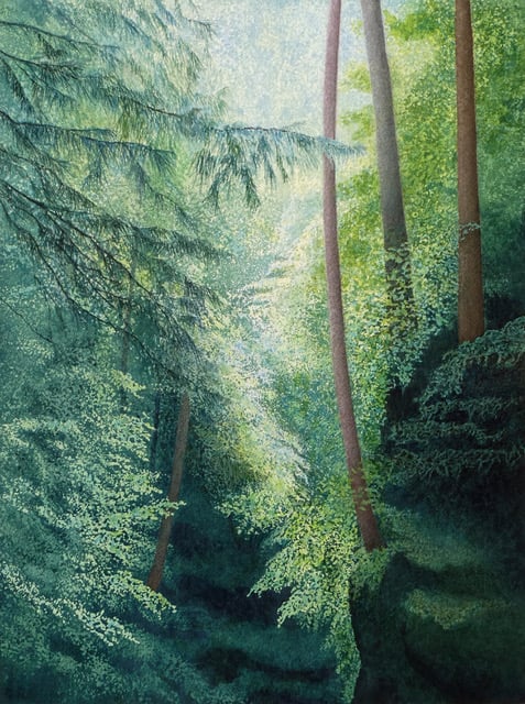 2026may-Symphony-in-Green-Hocking-Hill-Rachel-Collins