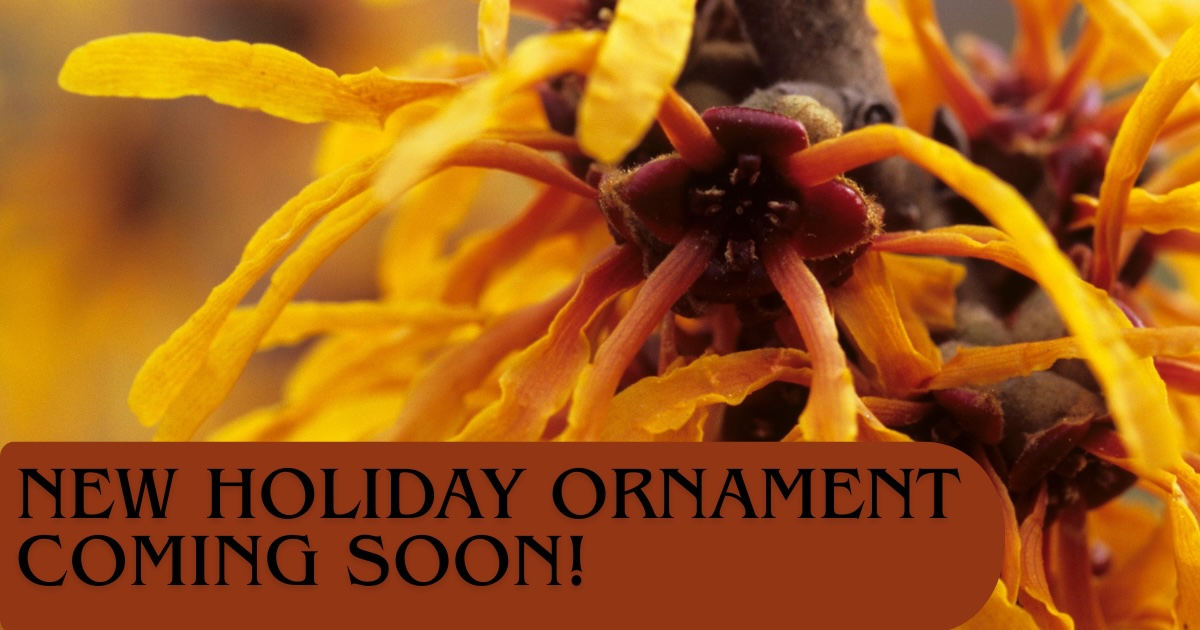 2nd-Holiday-Ornament-Coming-Soon
