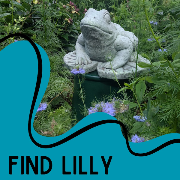 find-lilly