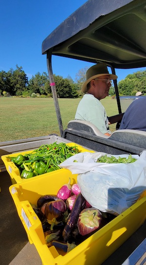 2022fall-Edible-Garden-040