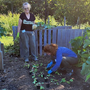 2022fall-Edible-Garden-400