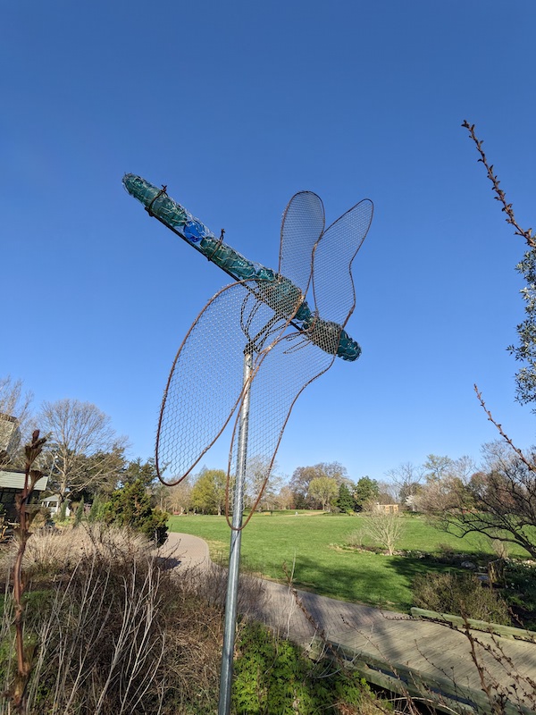 2023summer-dragonfly-outside-garcia