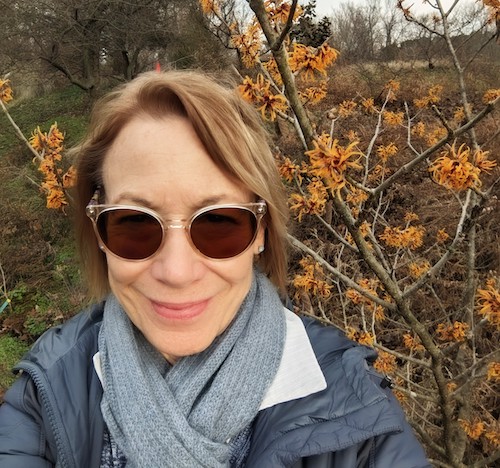 2023winter-judy-witch-hazel