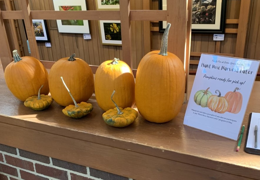2023winter-pumpkins-youth-family-education