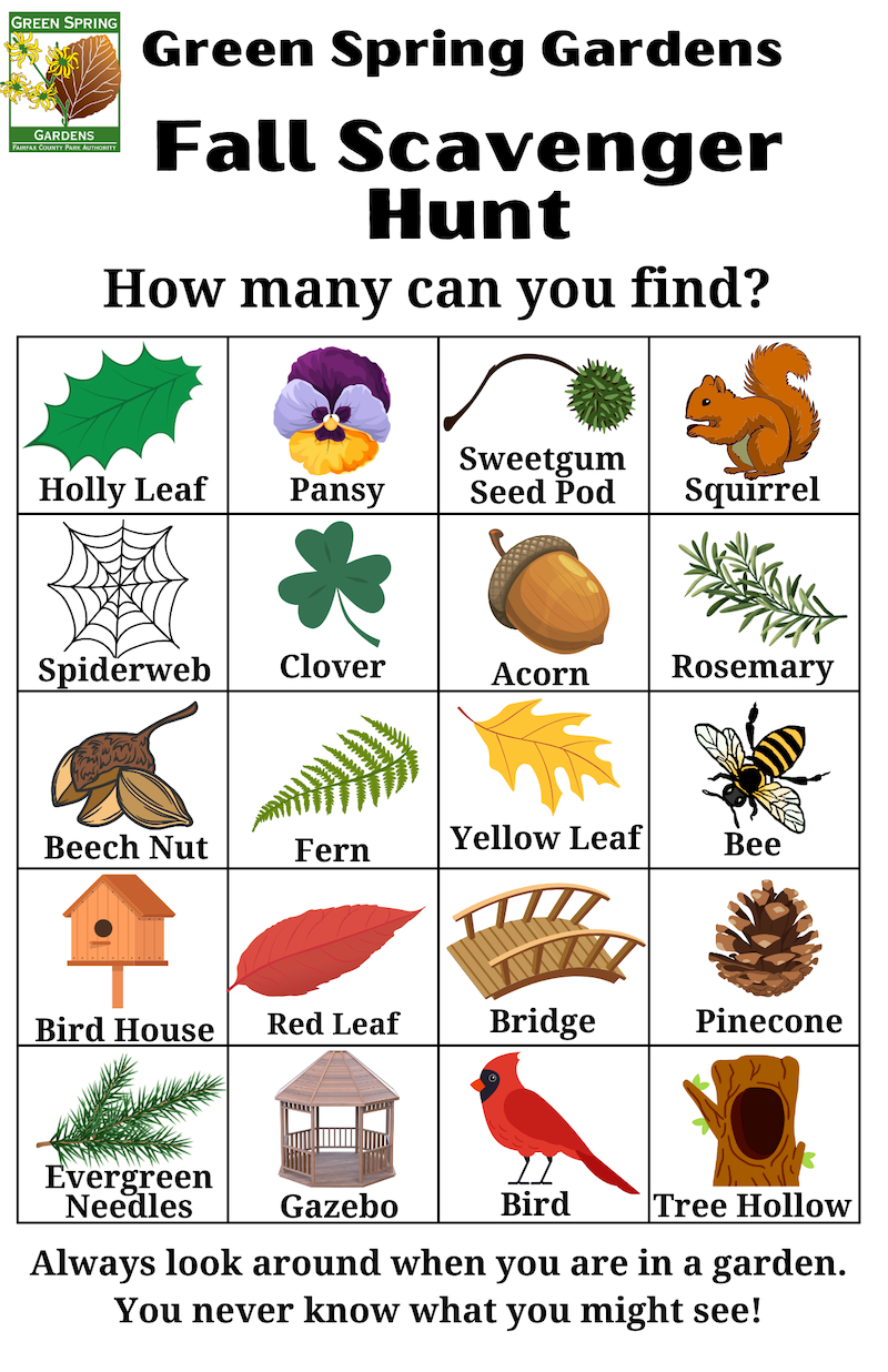 2024-winter-scavenger-hunt