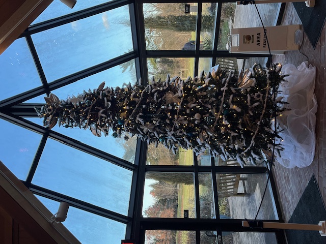 Atrium Tree. Photo by Fred Blott