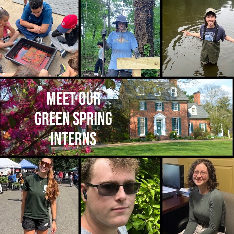 2025-summer-interns