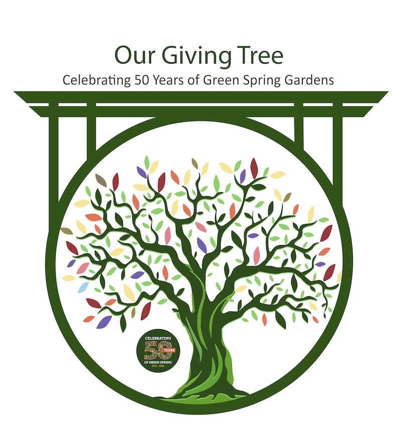50th Anniversary Giving Tree logo