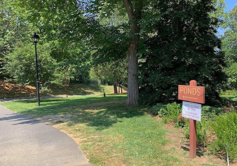 Path2Ponds