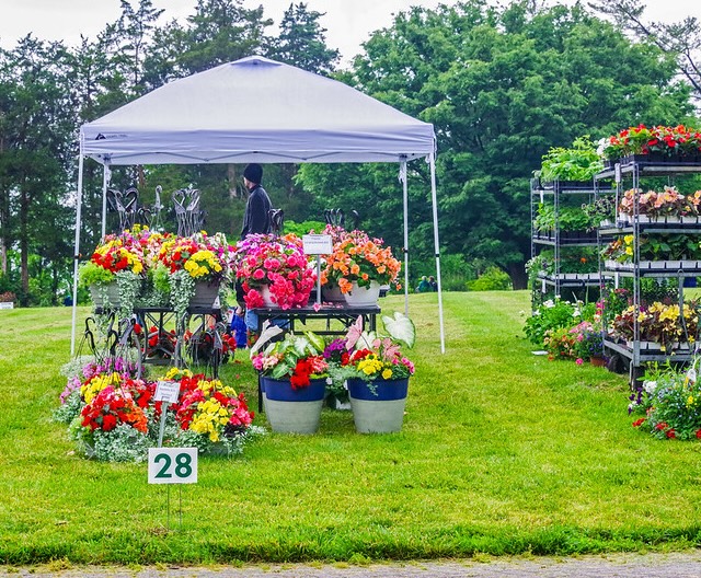 SGD2024-flower-sale 