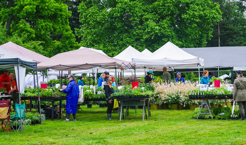 SGD2024-tents