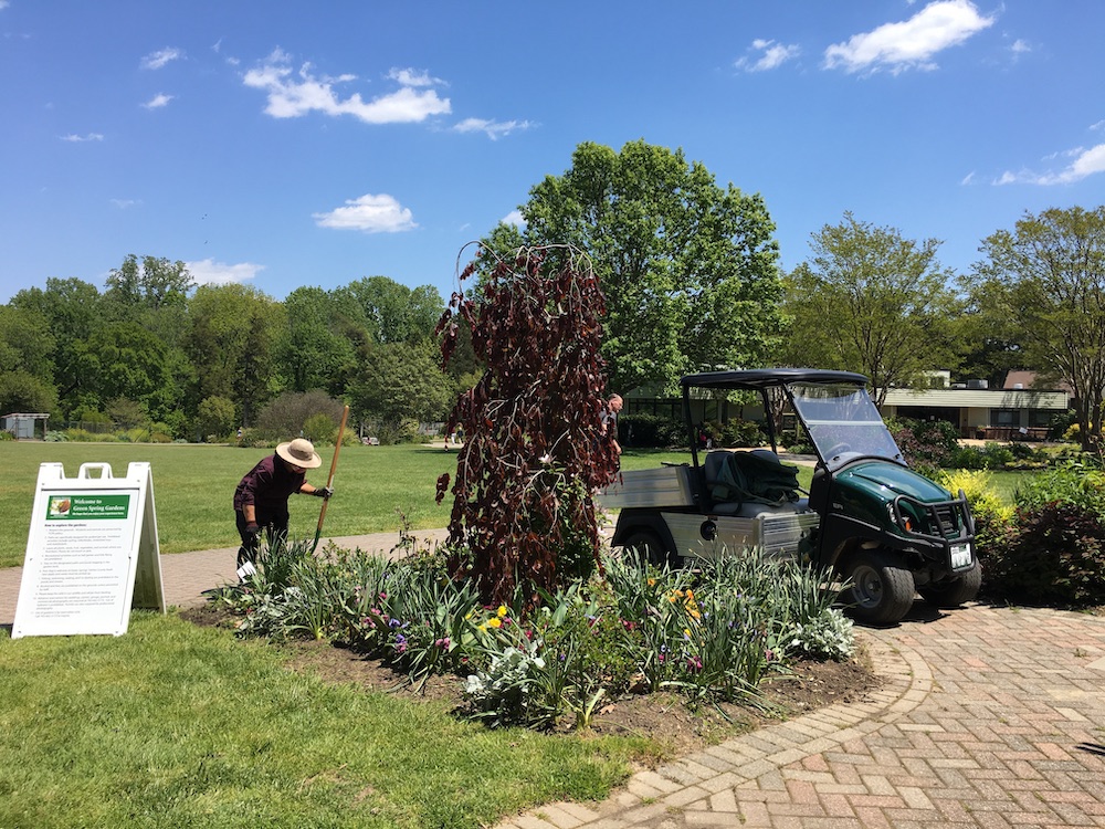Alda working in the garden