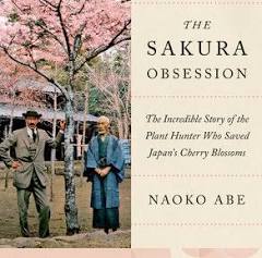 book-club-Sakura