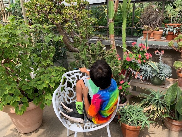 child-in-glasshouse