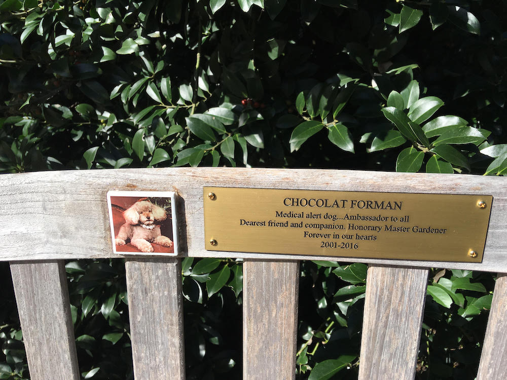 Memorial bench for 'Chocolat Forman'