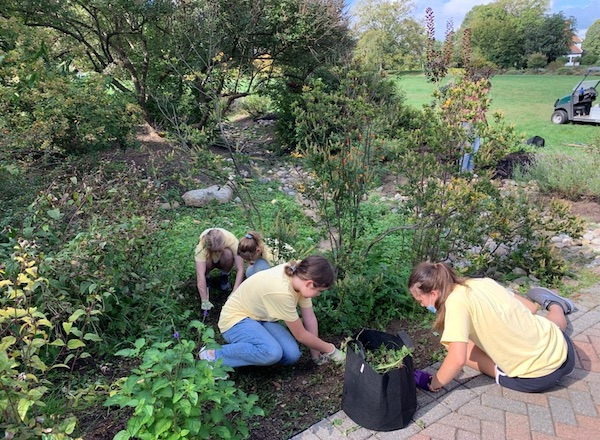 High school volunteers weed the Swale Garden