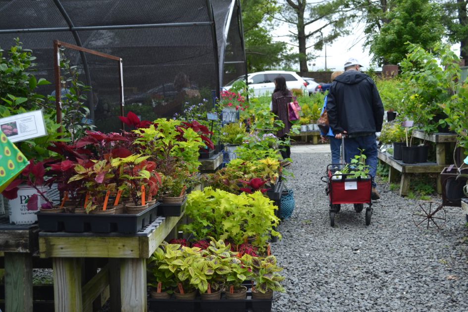 garden shop spring 2022