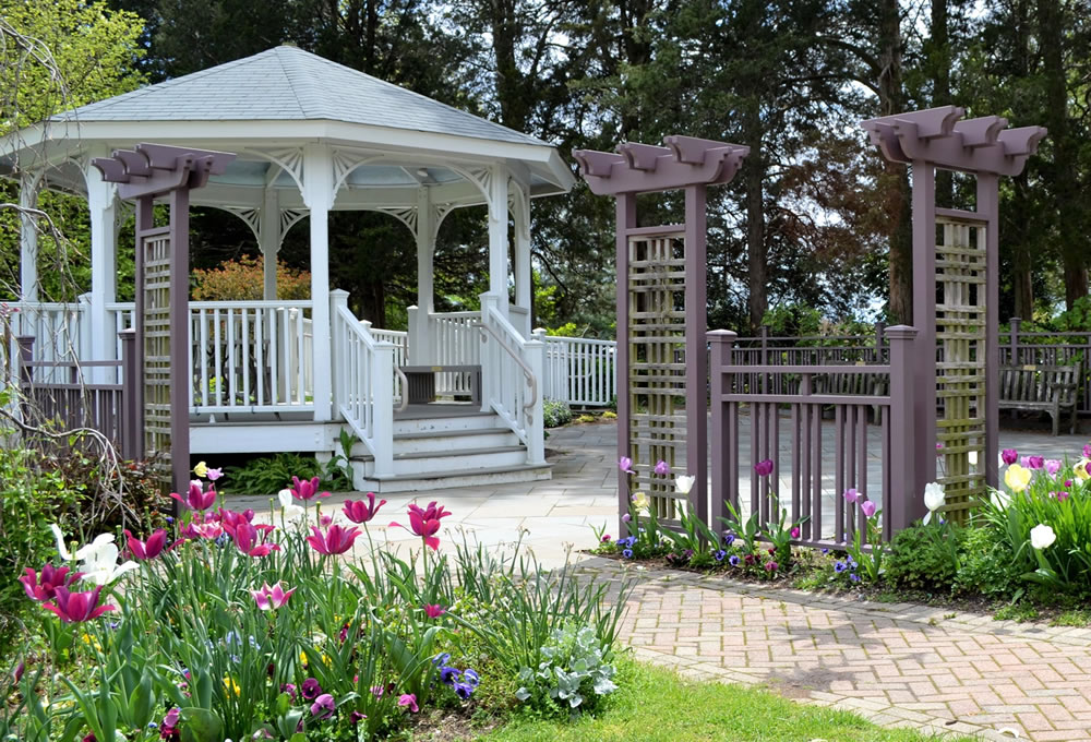 Gazebo renovation