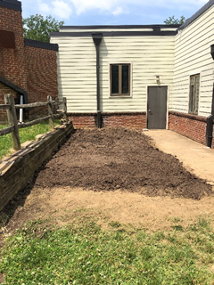 plant-patch-prep