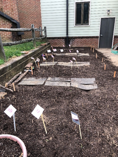 plant-patch-results