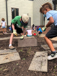 plant-patch-weeding