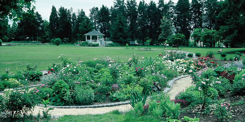 rose-garden-1991