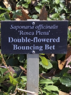 sign-bouncing-bet