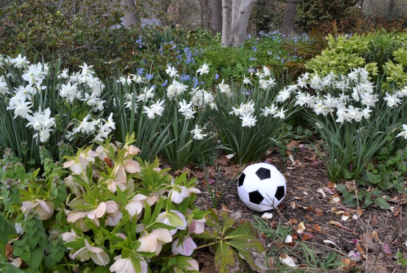soccor-ball
