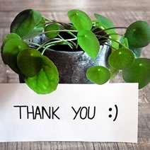 thank-you-athree23-plant