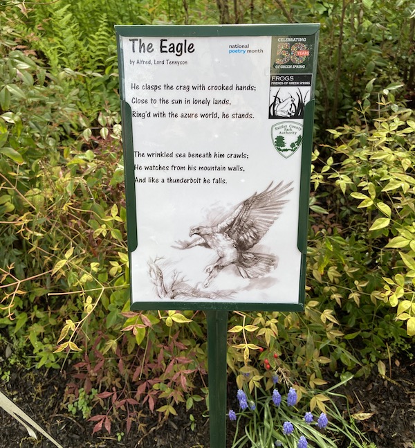 photo of a poem posted at Green Spring Gardens titled "The Eagle