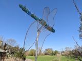 thumb 2023summer-dragonfly-outside-garcia