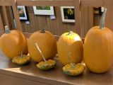 thumb 2023winter-pumpkins-youth-family-education