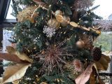 thumb 2024-winter-HolidayTree2023-Detail