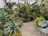 thumb 2025glasshouse-004