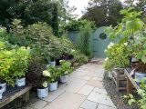thumb 2025summer-plantshop-725