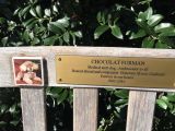 thumb chocolat-bench