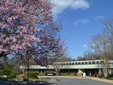 thumb hort-center-2021-spring