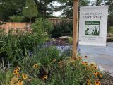 thumb plant-shop-sign