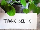 thumb thank-you-athree23-plant