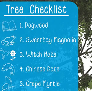 tree-scavenger-hunt-thumbnail