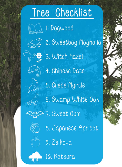 tree-scavenger-hunt