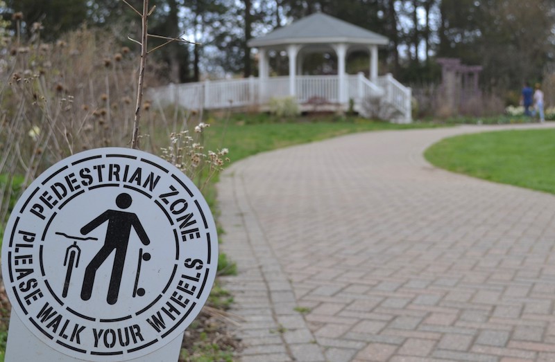 walk-your-wheels