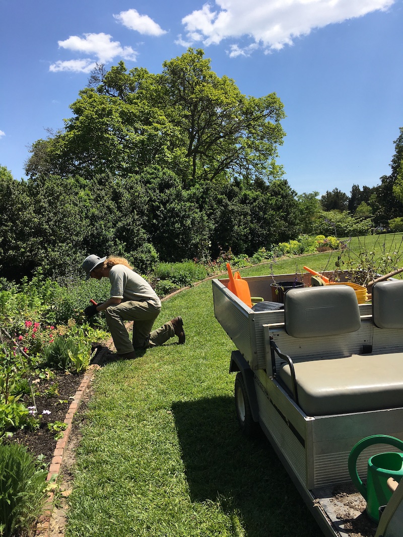 Working in the garden