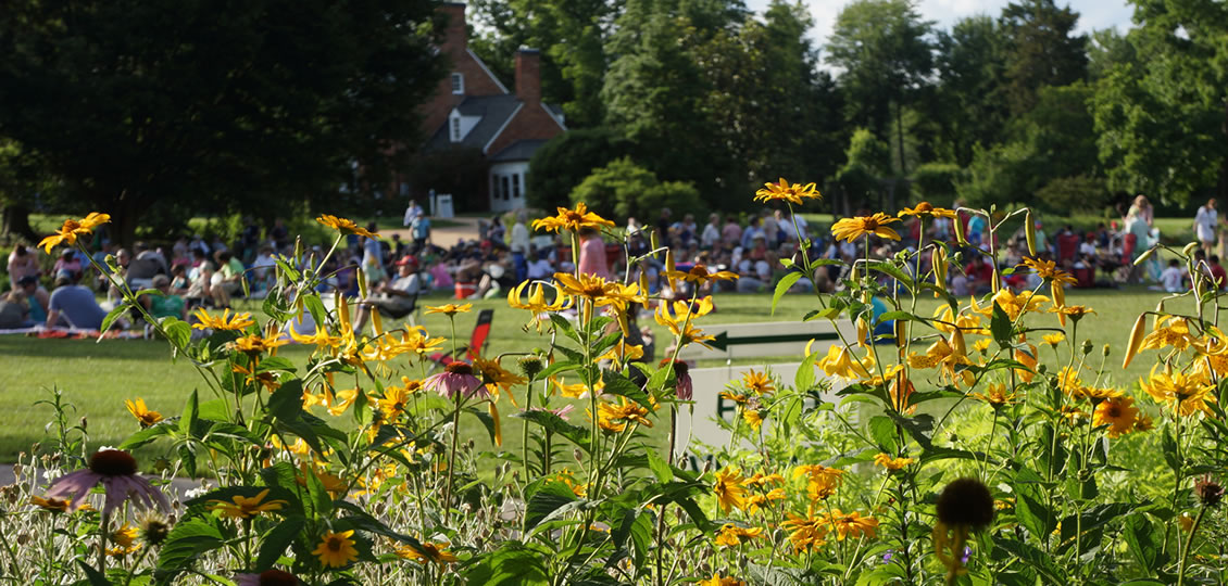 summer-concert-2019-1130x540