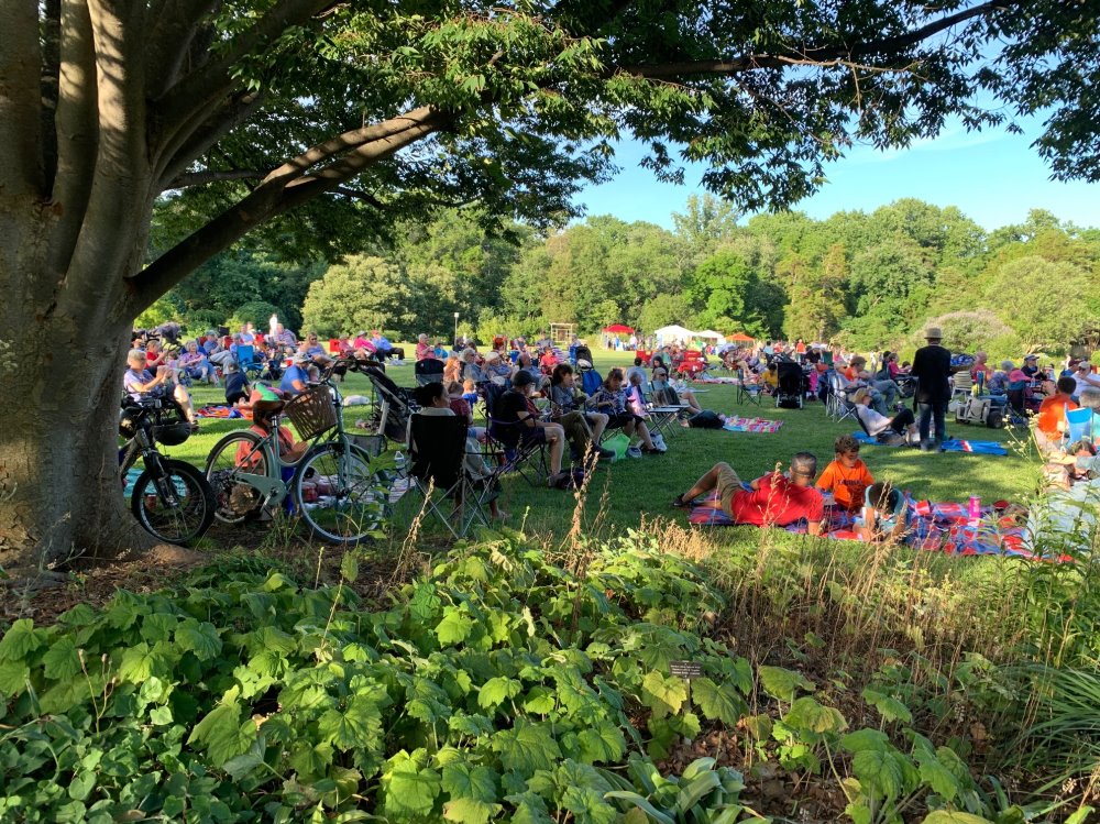 crowd