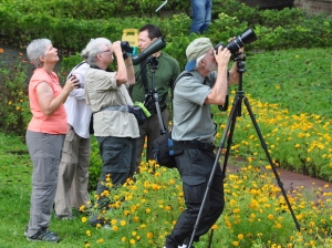thumb costa-rica-bird-watching