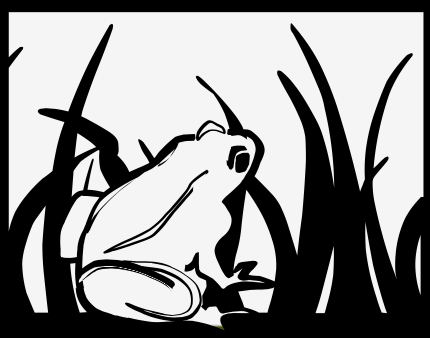frog-gif