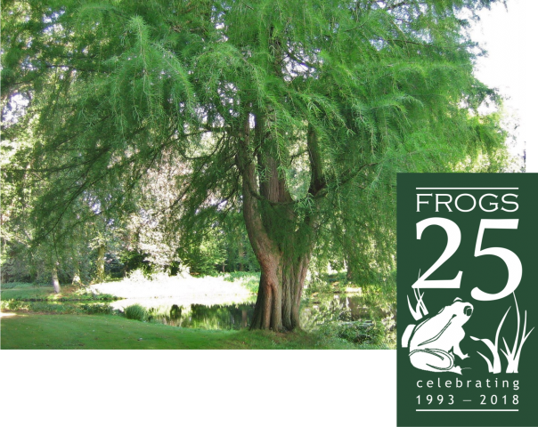 treegift2